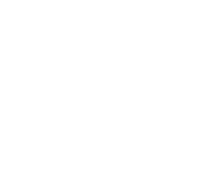 Dunedin Logo